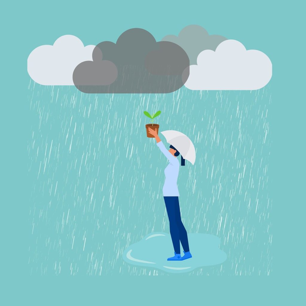 Mujer regando una planta con el agua de la lluvia