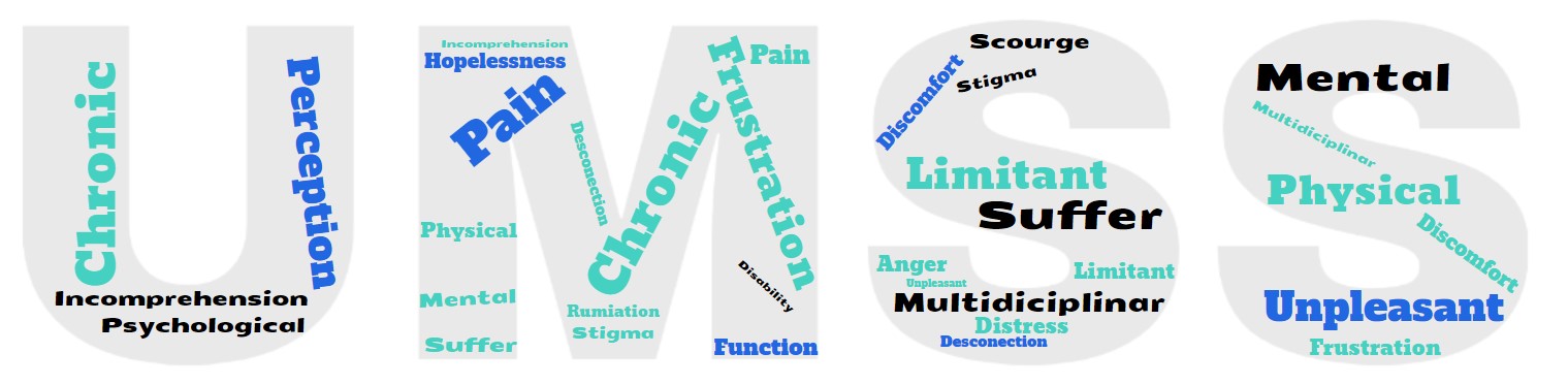 The image displays the initials of the UMSS group, and within them, the most representative words from the interviewees' responses are reproduced